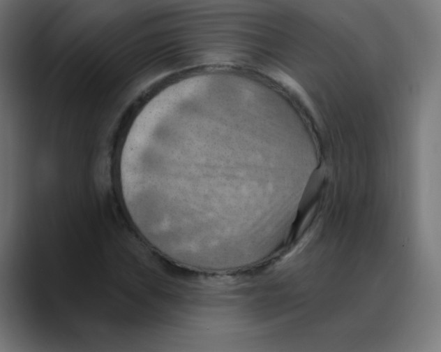X0000088491019200706191420
