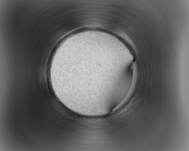 X0000088491020200706191420