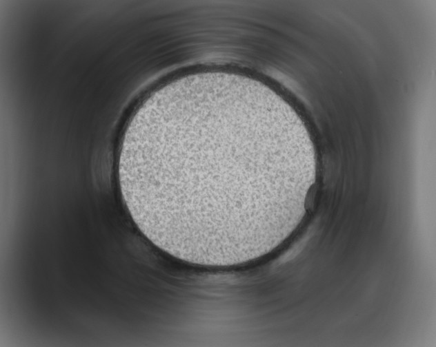 X0000088491021200706191420