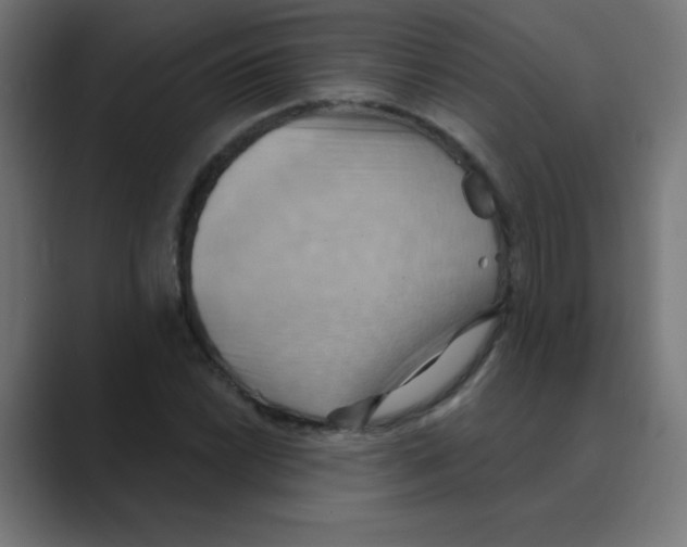 X0000088491022200706191421