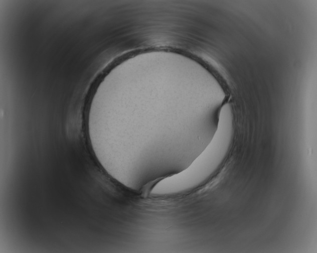 X0000088491023200706191421