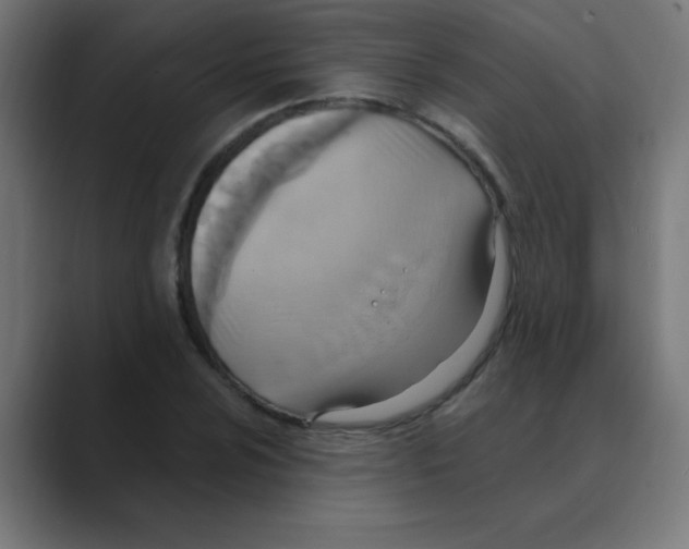 X0000088491024200706191421