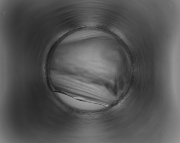 X0000088491026200706191421