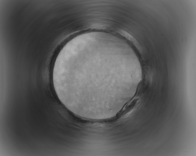 X0000088491027200706191421