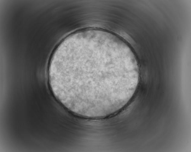 X0000088491028200706191421