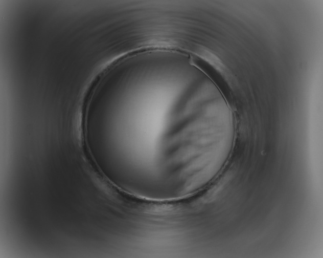 X0000088491030200706191421