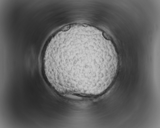 X0000088491032200706191421