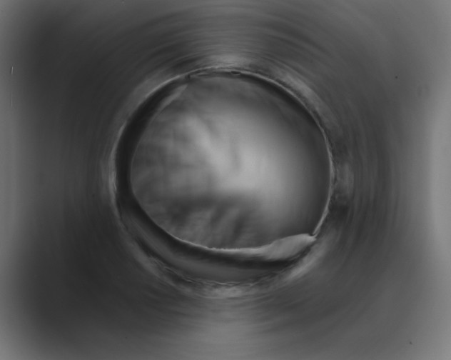 X0000088491034200706191421