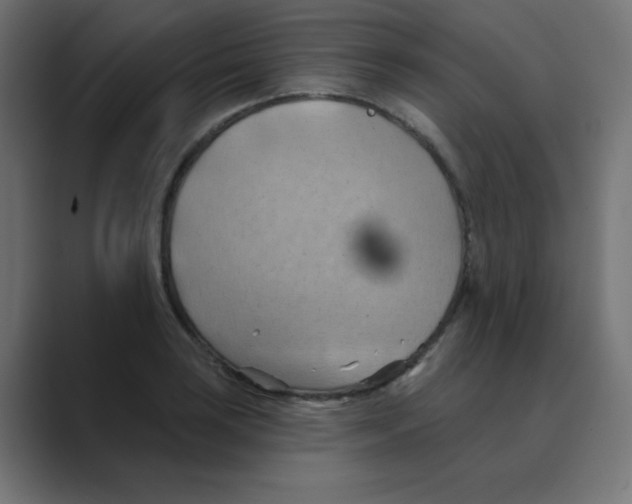 X0000088491035200706191421