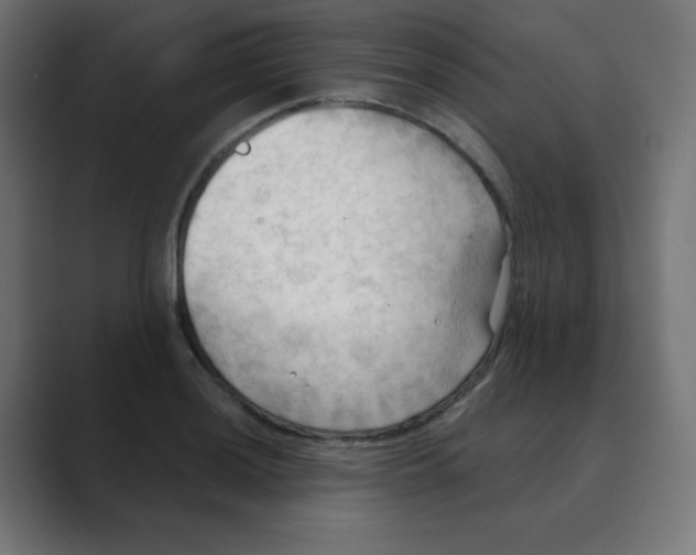 X0000088491036200706191421