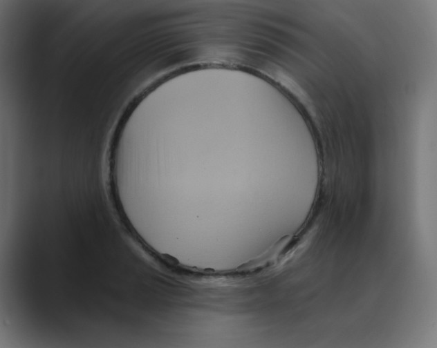 X0000088491037200706191421