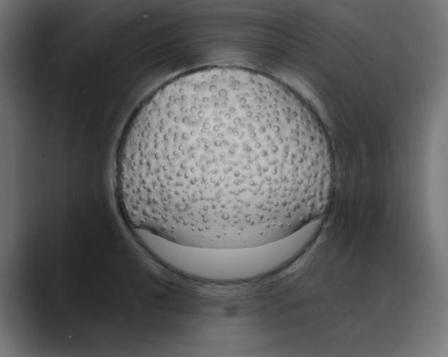 X0000088491040200706191421