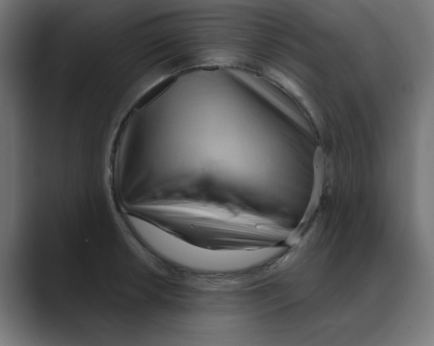 X0000088491042200706191421