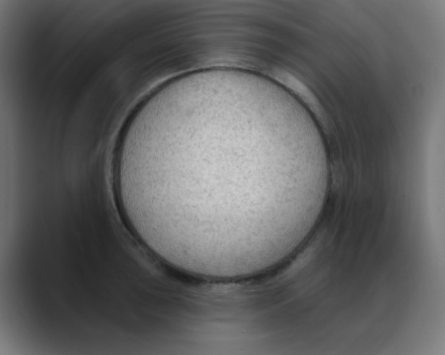 X0000088491043200706191421