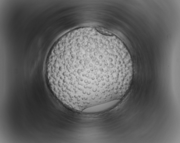 X0000088491044200706191421