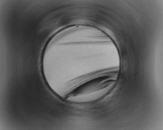 X0000088491045200706191421