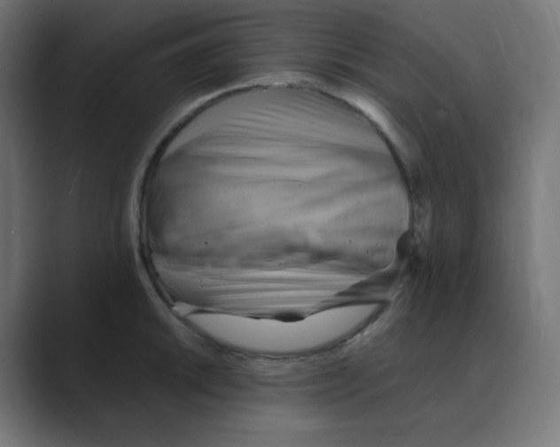 X0000088491046200706191421
