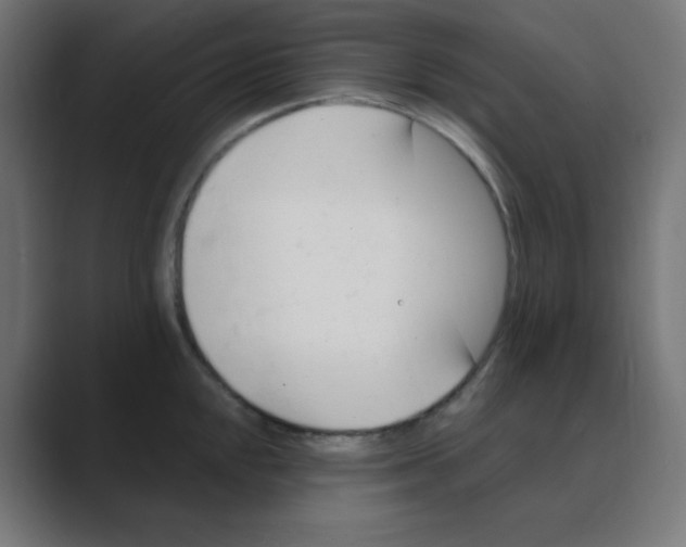X0000088491048200706191421