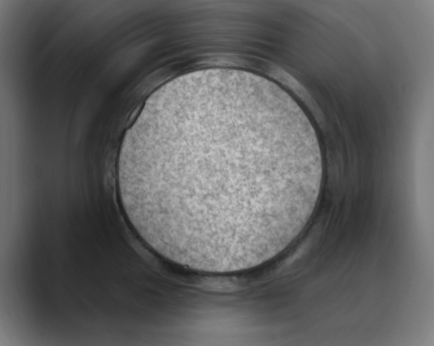 X0000088491049200706191421