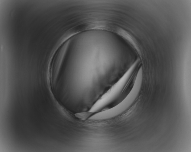 X0000088491050200706191421