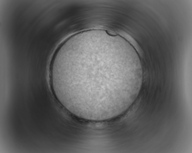 X0000088491051200706191421
