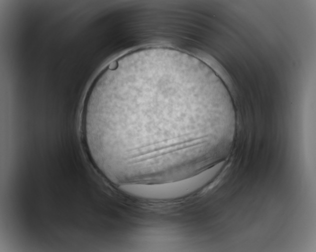 X0000088491052200706191421