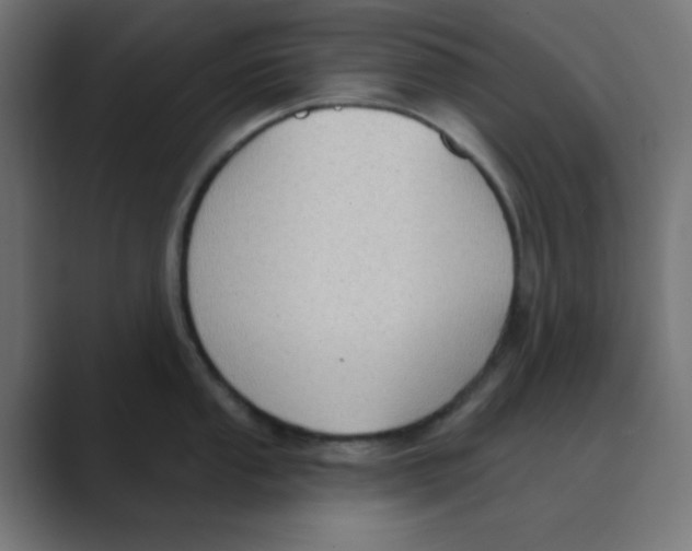 X0000088491053200706191421