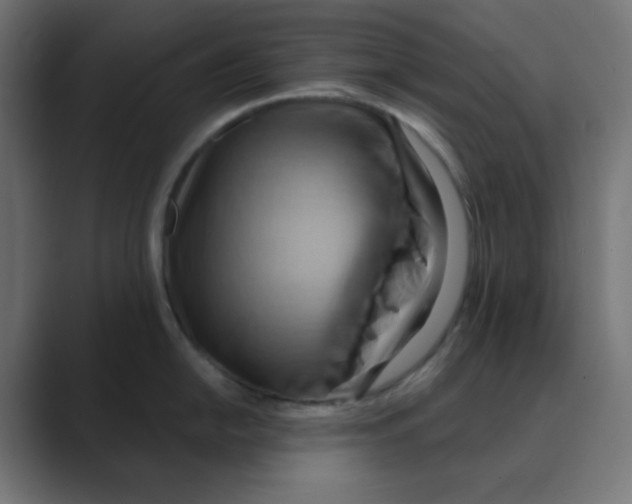 X0000088491054200706191421