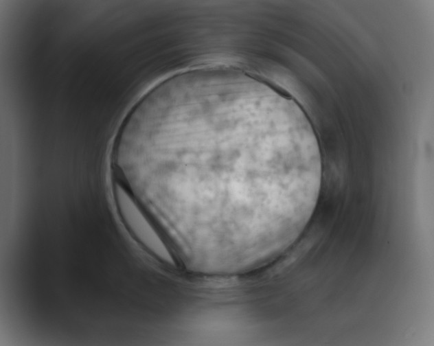X0000088491055200706191421
