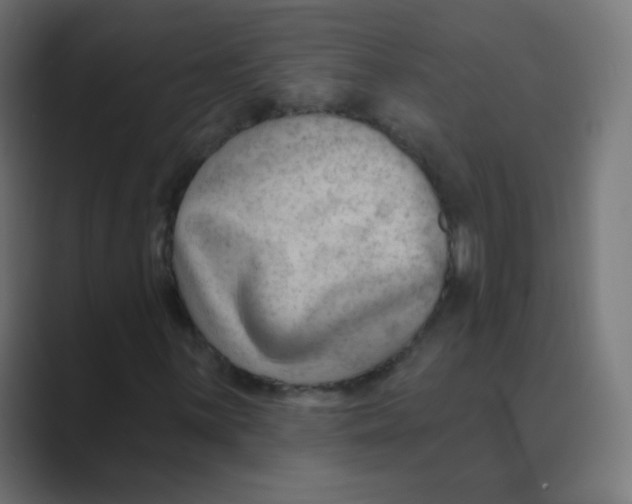 X0000088491059200706191420
