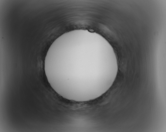 X0000088491061200706191420