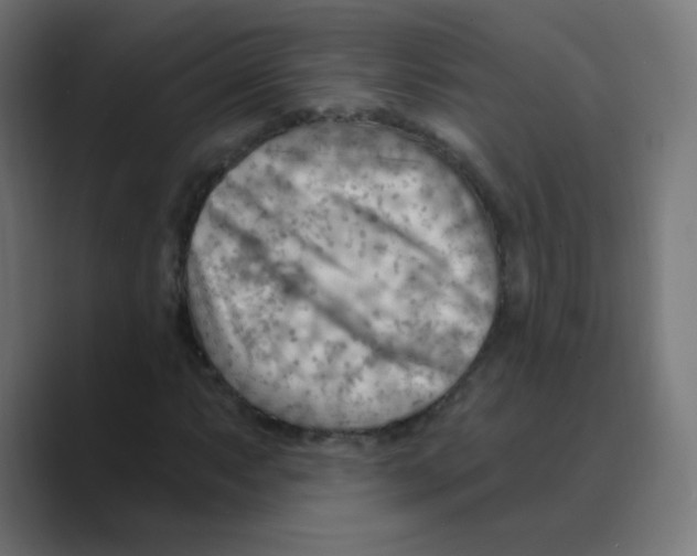X0000088491063200706191420