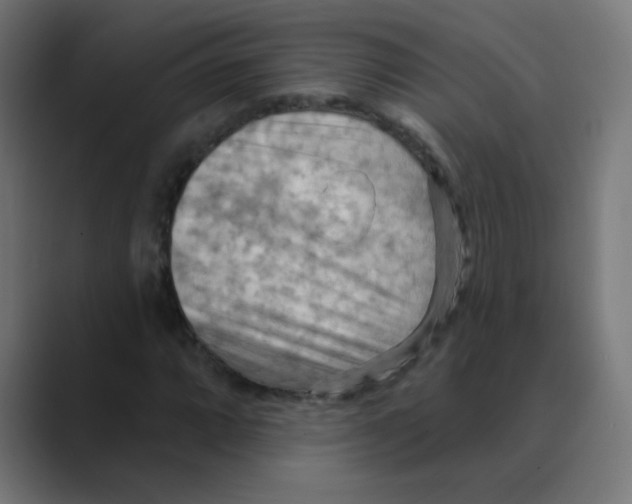 X0000088491064200706191420