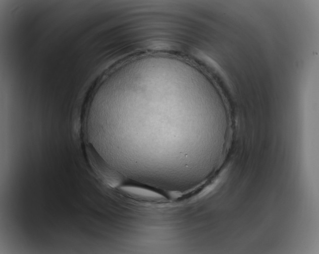 X0000088491065200706191420