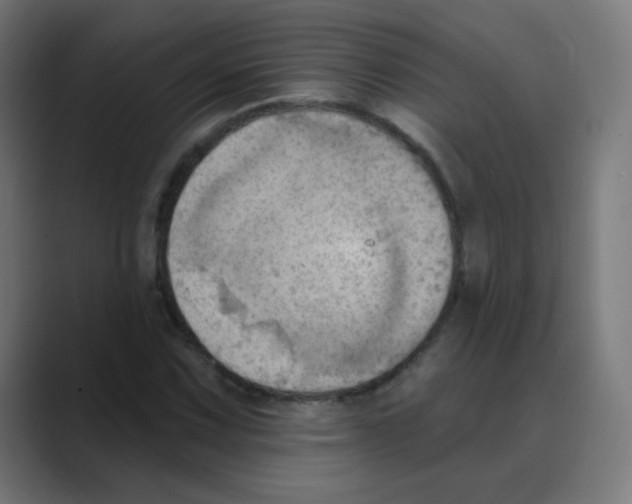 X0000088491067200706191420
