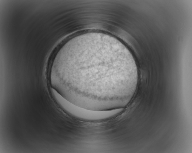 X0000088491068200706191420