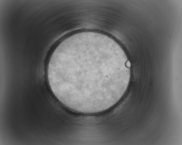 X0000088491070200706191420