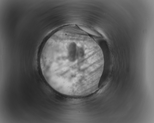 X0000088491071200706191420