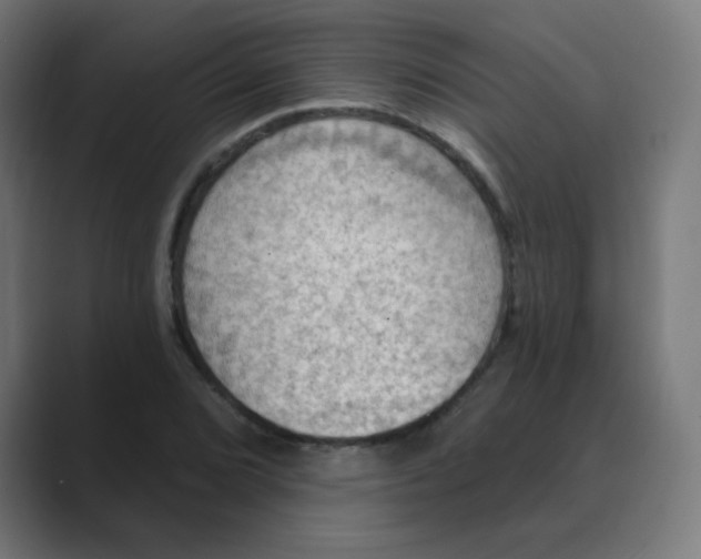 X0000088491072200706191420