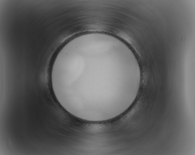 X0000088491074200706191420