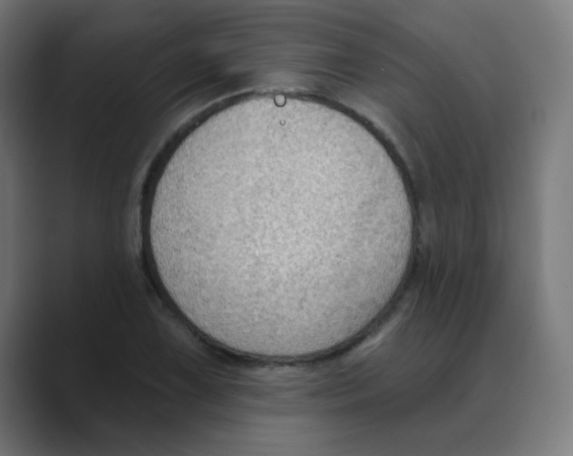 X0000088491075200706191420