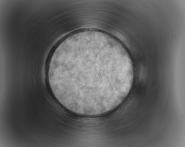 X0000088491076200706191420
