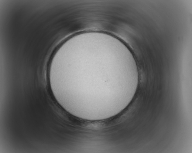 X0000088491078200706191420