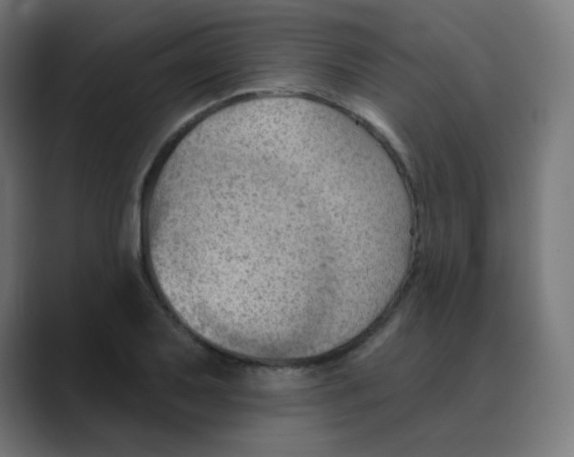 X0000088491079200706191420