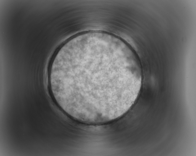 X0000088491080200706191420