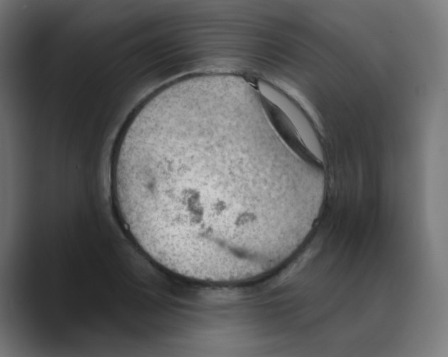 X0000088491083200706191420