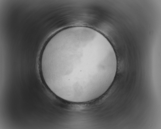 X0000088491086200706191420