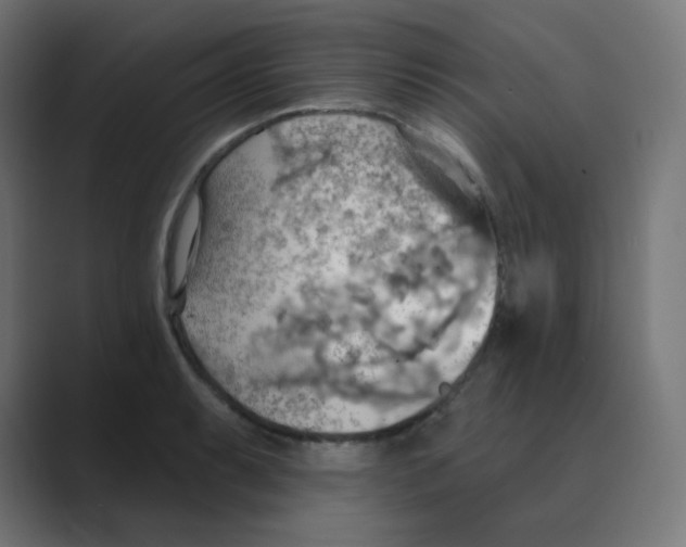 X0000088491087200706191420
