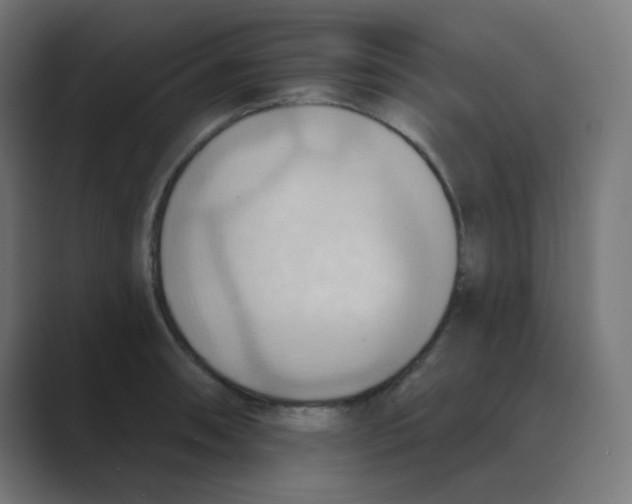 X0000088491090200706191420