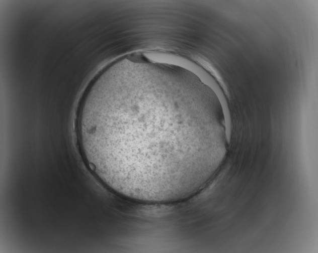 X0000088491091200706191420